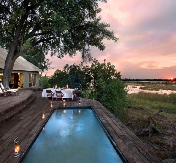 Luxury Safari