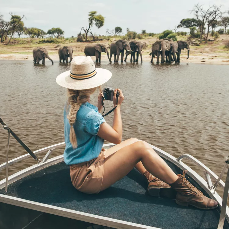 Africa Honeymoon
