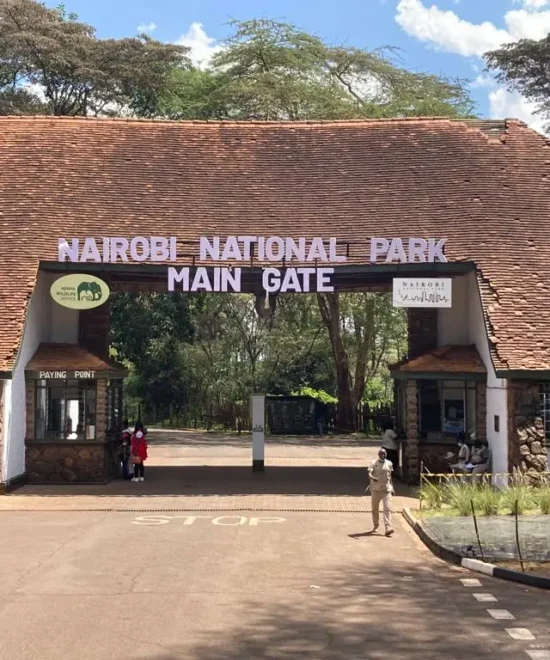 Nairobi National Park Half Day Excursion