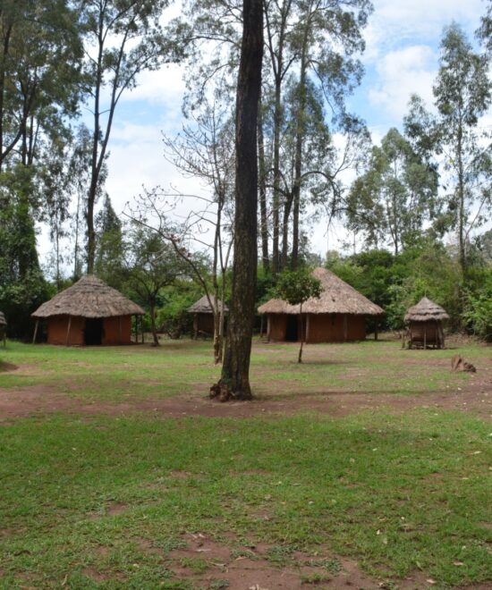 Bomas of Kenya Half a day Excursion